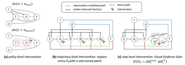 Three-level causal intervention in CauAudit