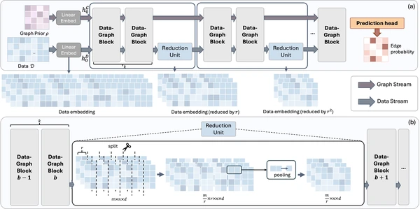 CauScale two-stream neural causal discovery architecture